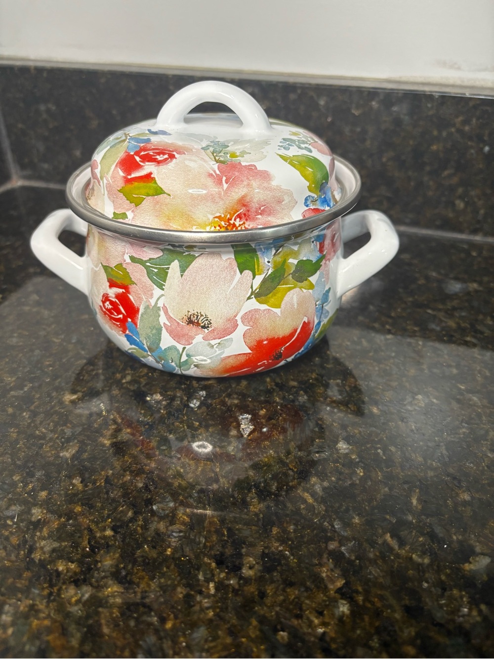 CROFTON 1 Quart Enamelware Double Handled Pot w/Lid